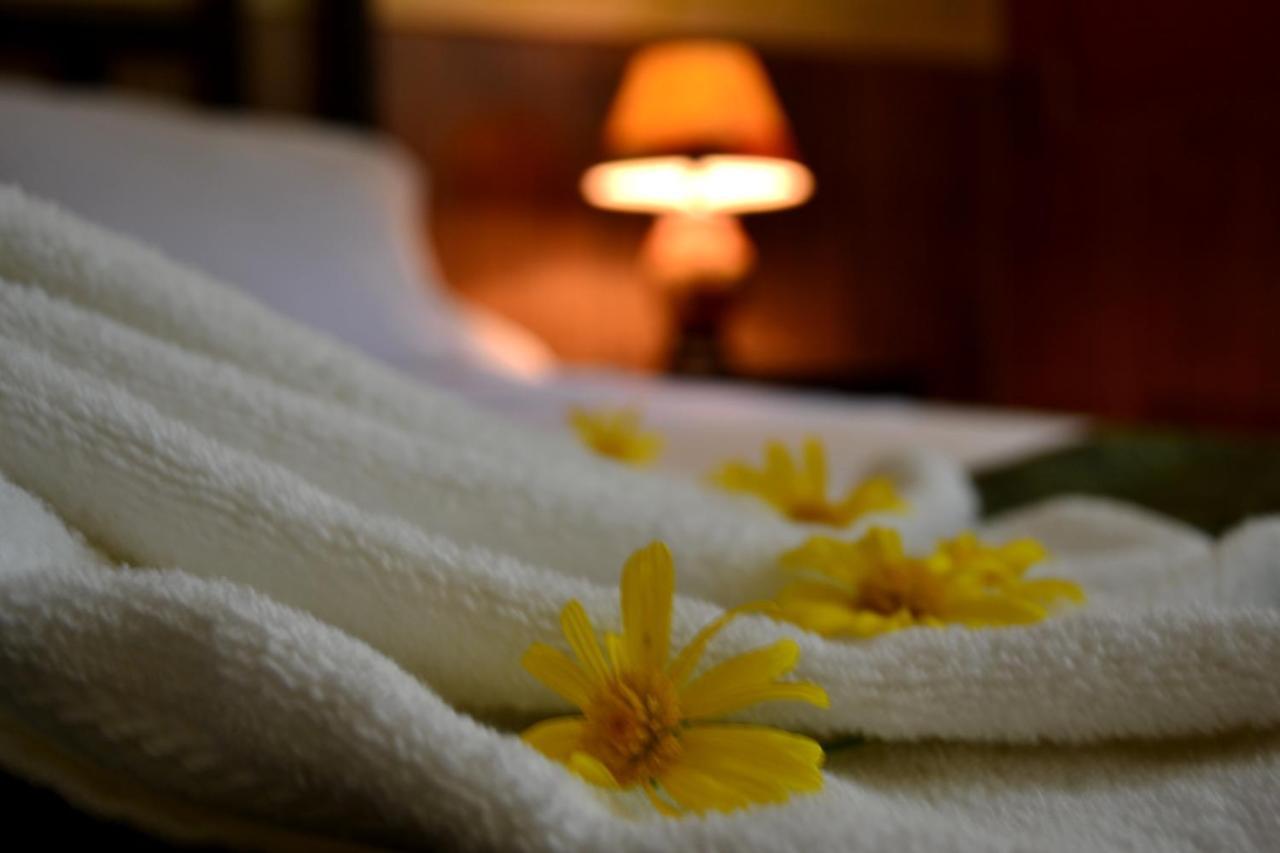 Hotel Casa Aura Cartago Ngoại thất bức ảnh