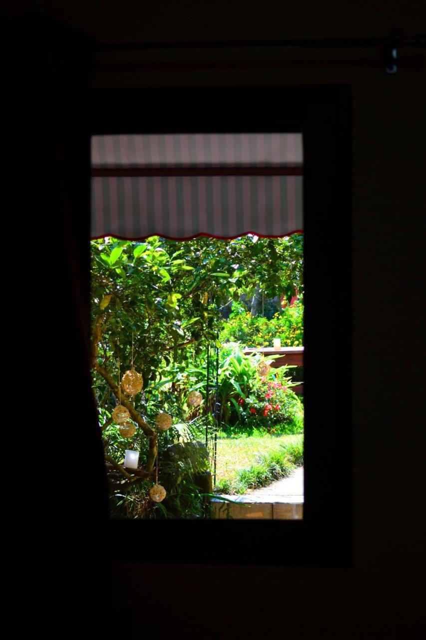 Hotel Casa Aura Cartago Ngoại thất bức ảnh